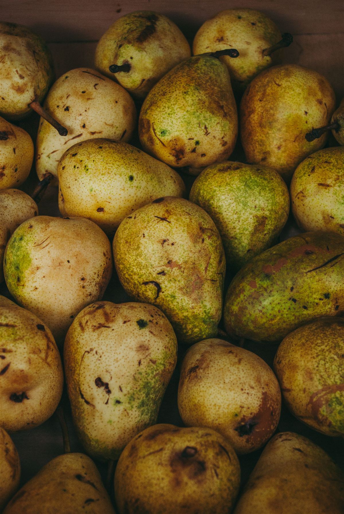 Poires tapées, the dried-pear speciality of Rivarennes