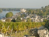 vignoble loire